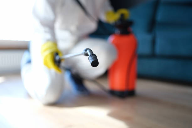 Mold Odor Removal Services in Coshocton, OH